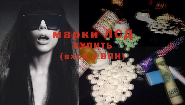 прущие грибы Кукмор