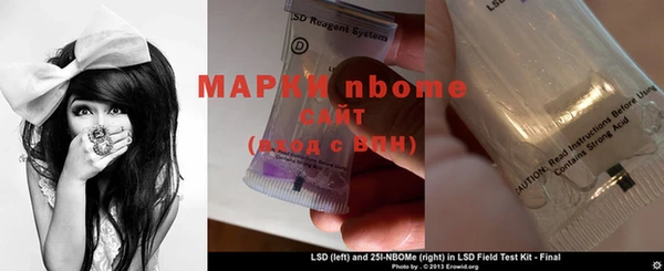 прущие грибы Кукмор
