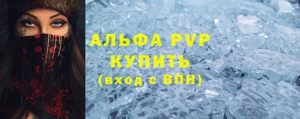 прущие грибы Кукмор