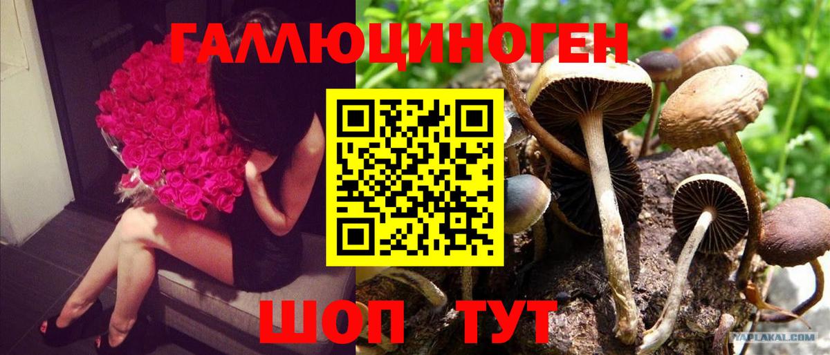 Галлюциногенные грибы мухоморы  Вход с VPN  Майский 